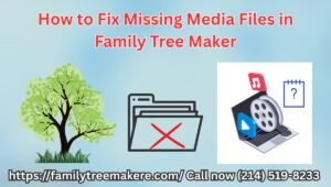 how to fix missing media files in ftm